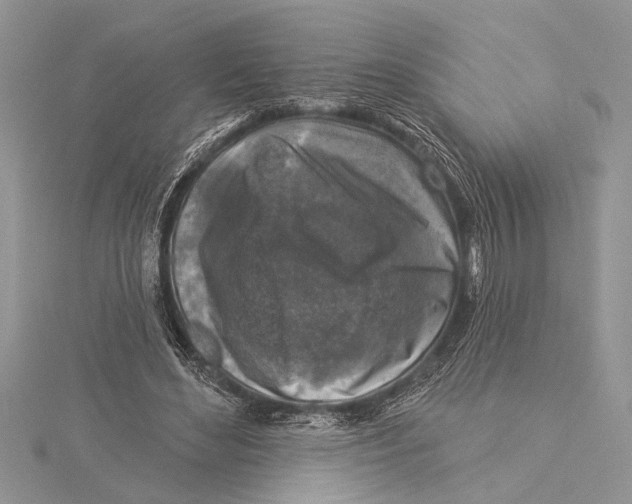 X0000115430492200912020927