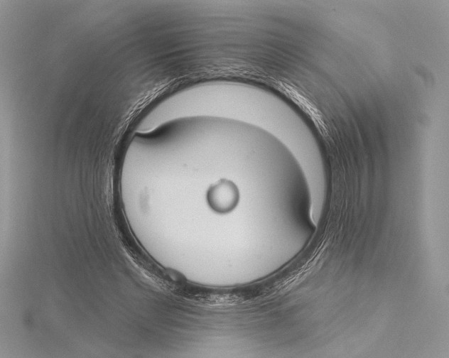 X0000115430493200912020927