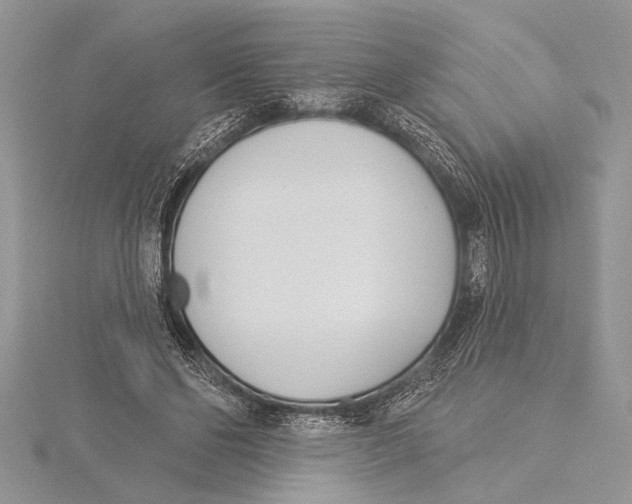 X0000115430494200912020927