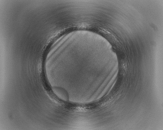 X0000115430496200912020927