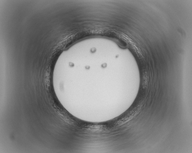 X0000115430497200912020927