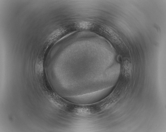 X0000115430500200912020927