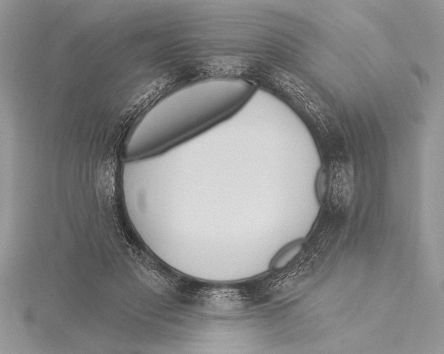 X0000115430501200912020927