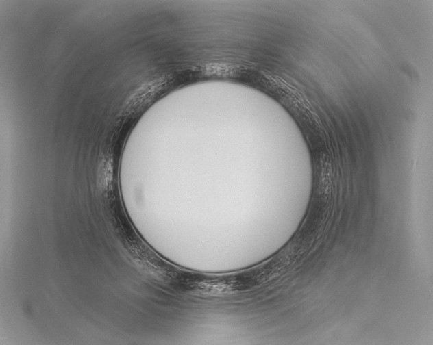 X0000115430502200912020927