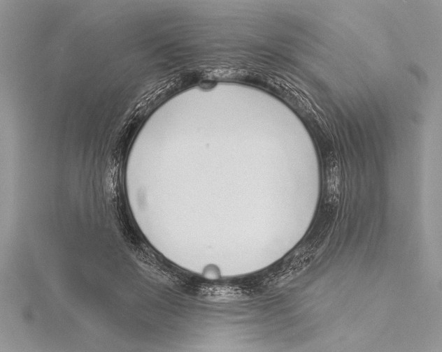 X0000115430503200912020927