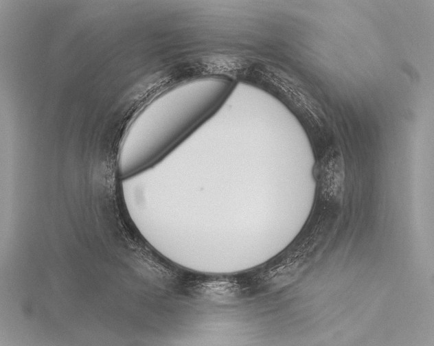 X0000115430505200912020927