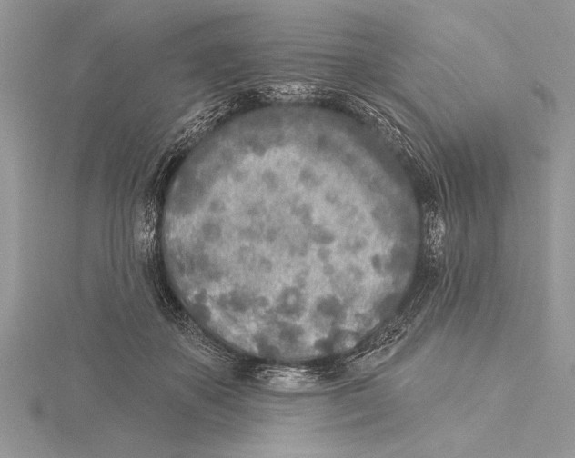 X0000115430507200912020927