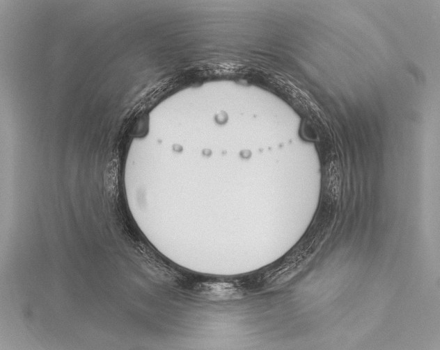 X0000115430509200912020927