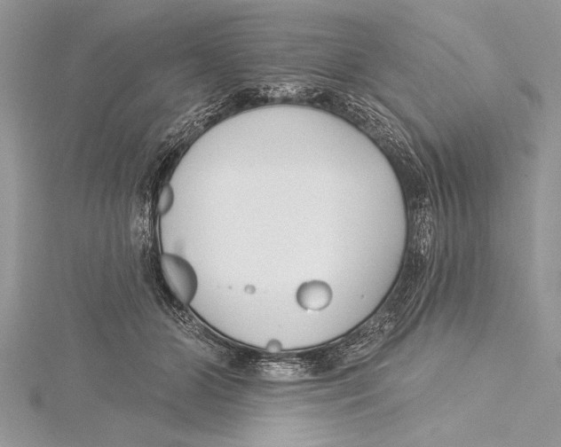 X0000115430510200912020927