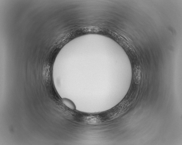 X0000115430511200912020927