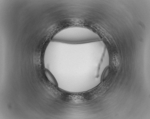 X0000115430512200912020927