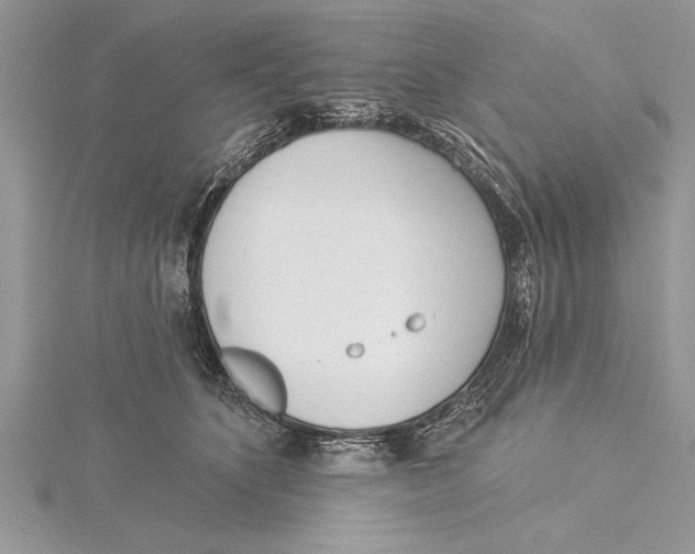 X0000115430516200912020927