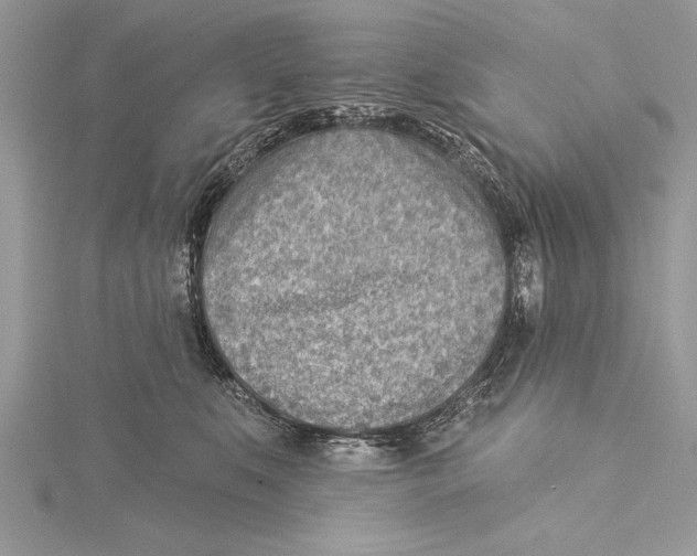 X0000115430519200912020927