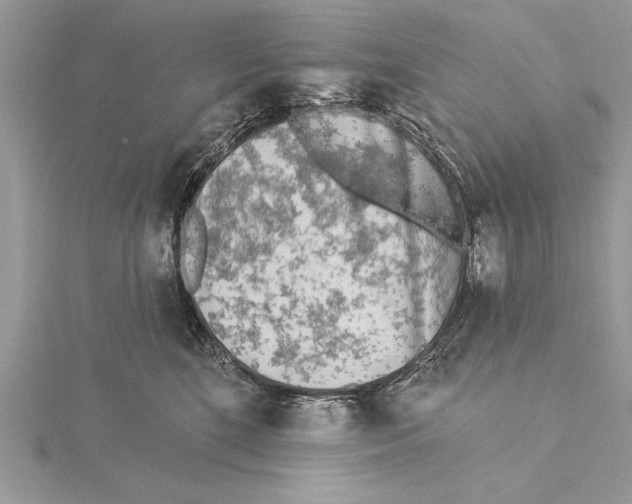 X0000115430520200912020927