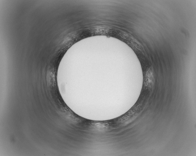 X0000115430522200912020927