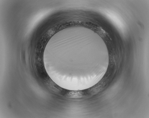 X0000115430526200912020927