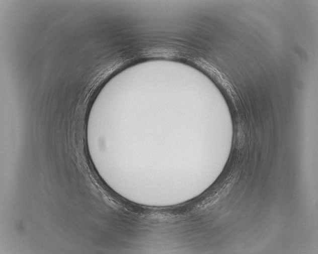 X0000115430529200912020926