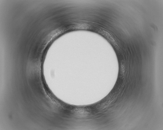 X0000115430534200912020926