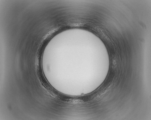 X0000115430539200912020926