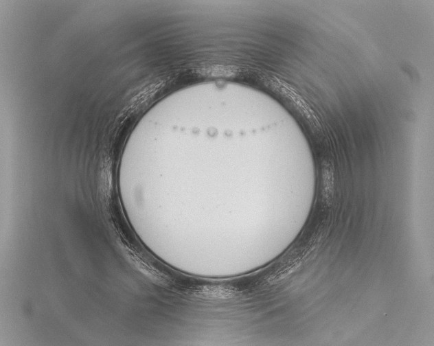 X0000115430541200912020926