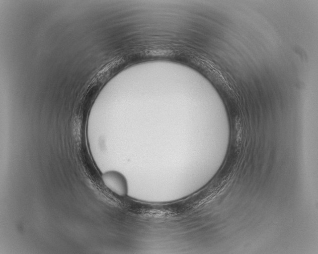 X0000115430542200912020926