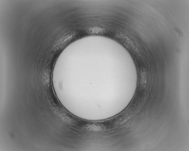 X0000115430545200912020926