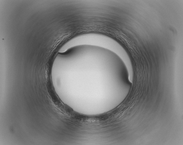 X0000115430546200912020926