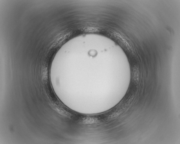 X0000115430549200912020926