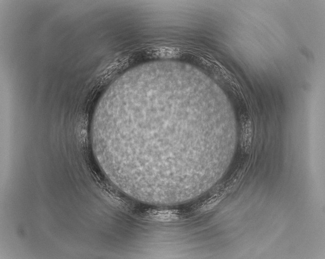 X0000115430553200912020926