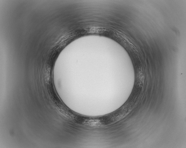 X0000115430554200912020926