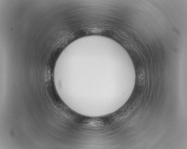 X0000115430555200912020926