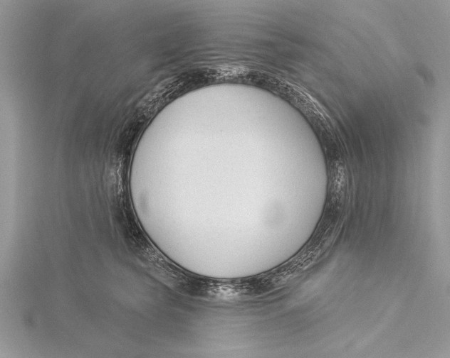 X0000115430565200912020926