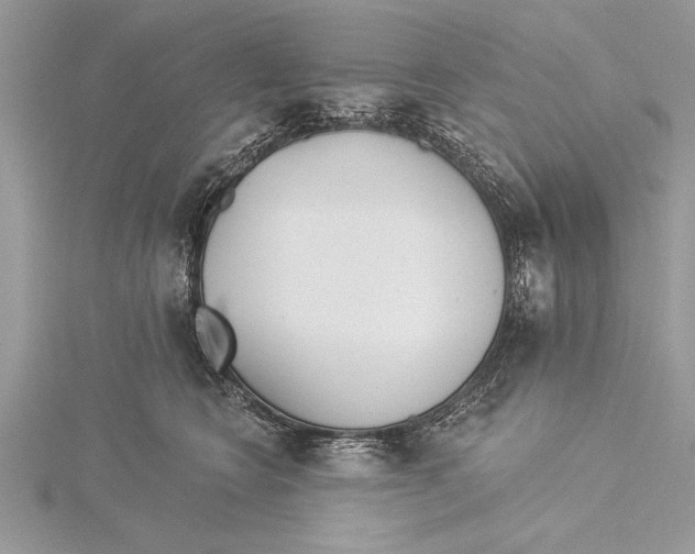 X0000115430566200912020926