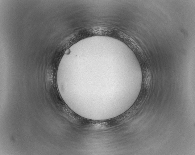 X0000115430569200912020927