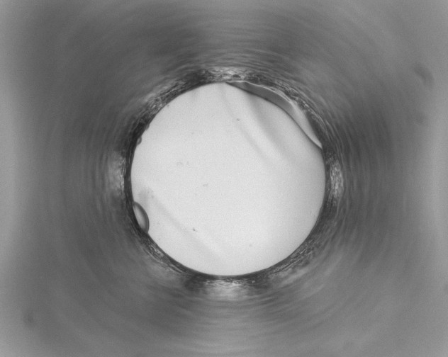 X0000115430570200912020927