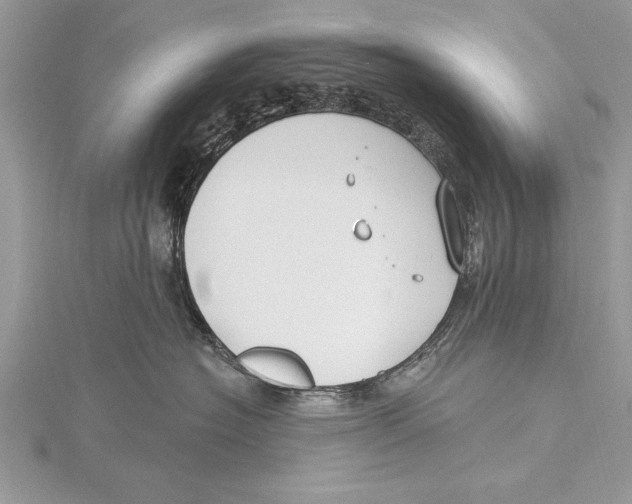 X0000115430574200912020927