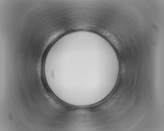 X0000115430578200912020926