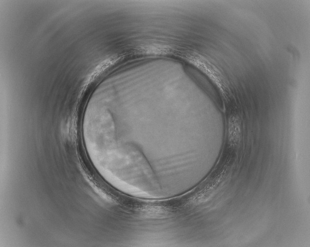 X0000115430581200912020926