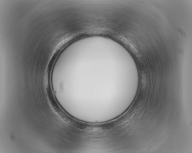 X0000115430582200912020926