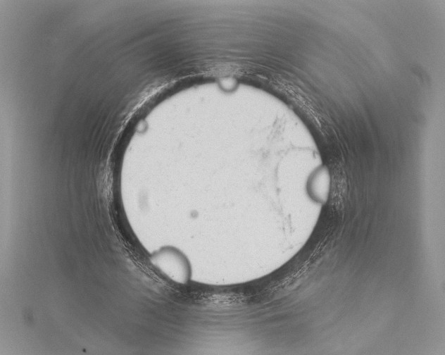 X0000115430584200912020926