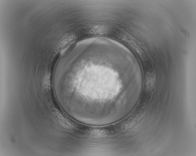 X0000115430585200912020926