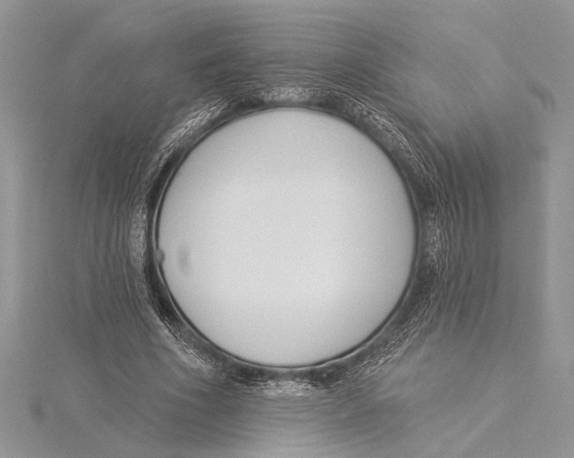 X0000115430586200912020926