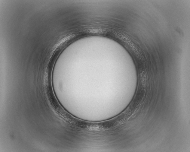 X0000115430587200912020926