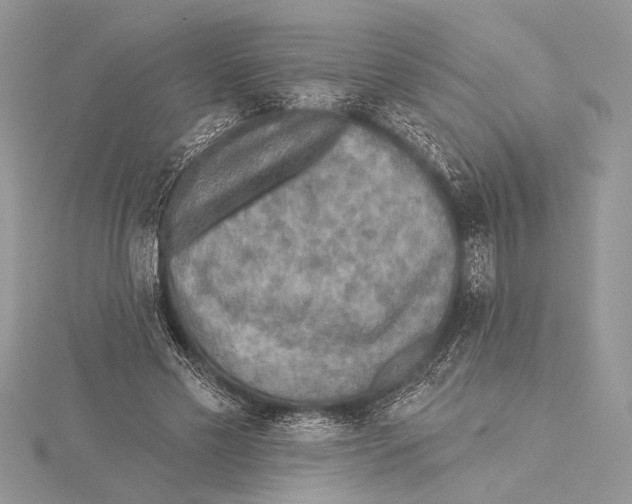 X0000115430589200912020926