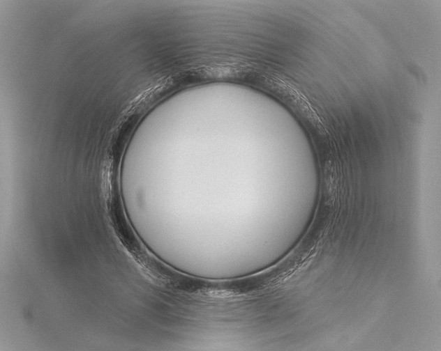 X0000115430590200912020926