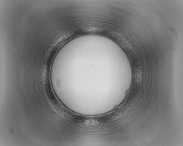 X0000115430591200912020926