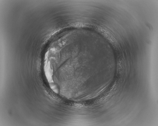 X0000115430592200912020926