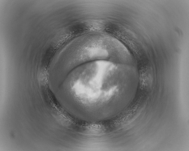 X0000115430593200912020926