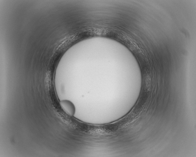 X0000115430594200912020926