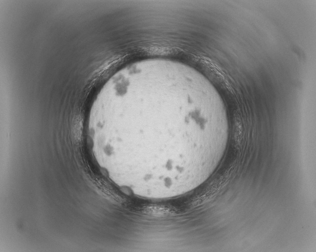 X0000115430596200912020926